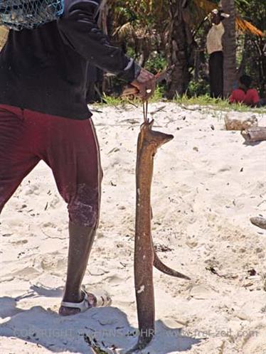 Beach walk, Zanzibar, DSC07179b